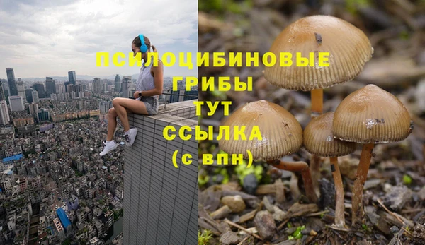 а пвп мука Алексин