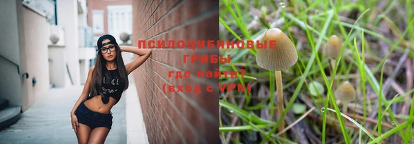 амф Алзамай