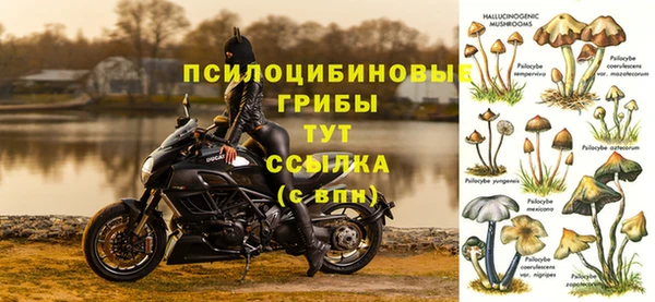 дживик Алексеевка