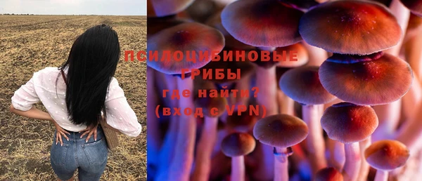а пвп мука Алексин