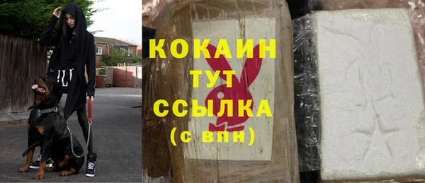 амф Алзамай