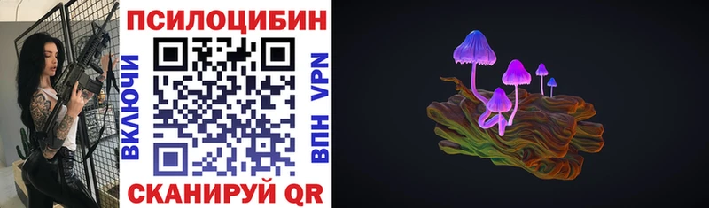 что такое   Кондопога  Галлюциногенные грибы ЛСД 